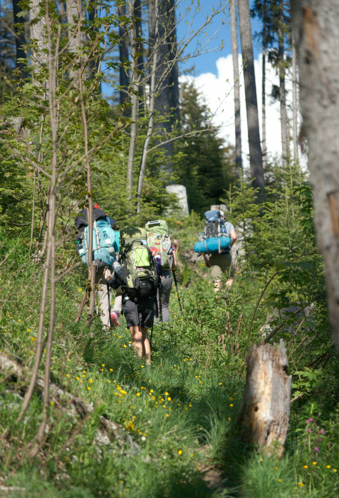 randonnée forêt