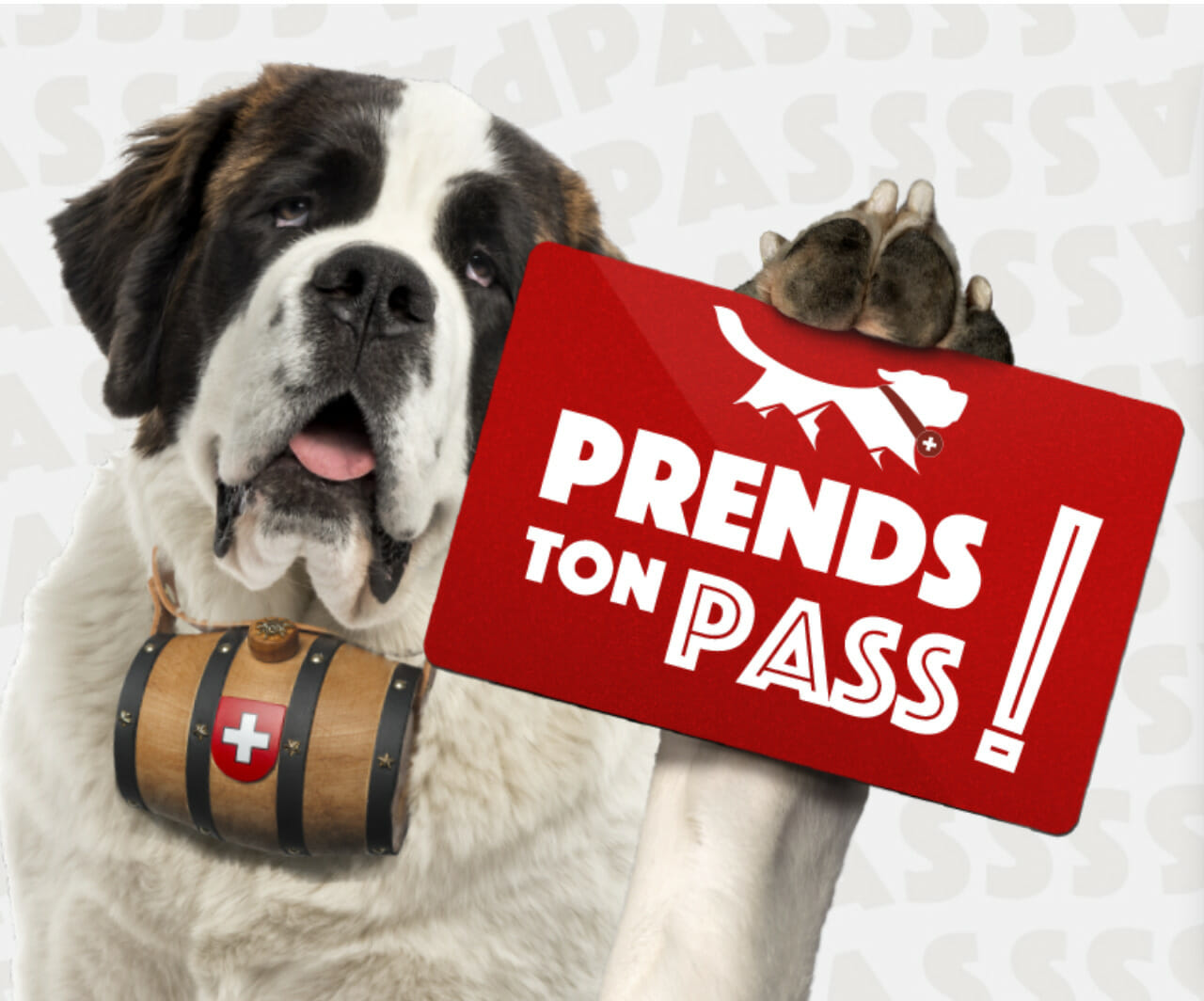 pass saint-bernard