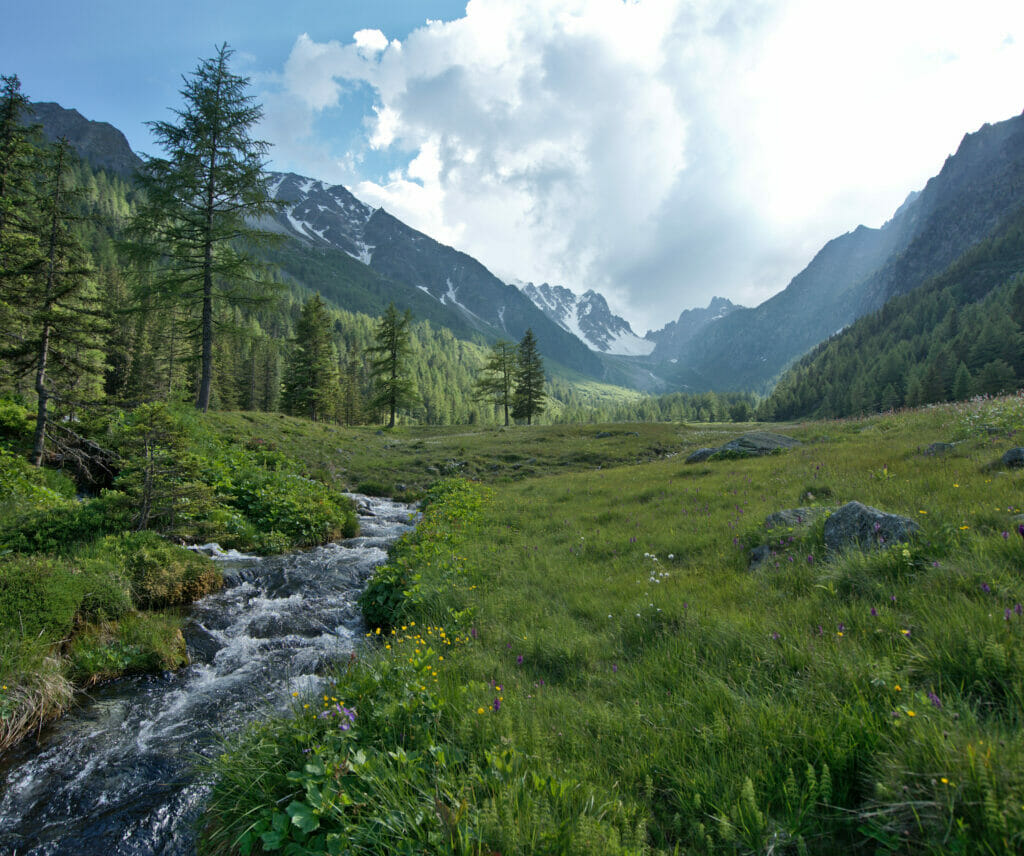 vallon d'arpette