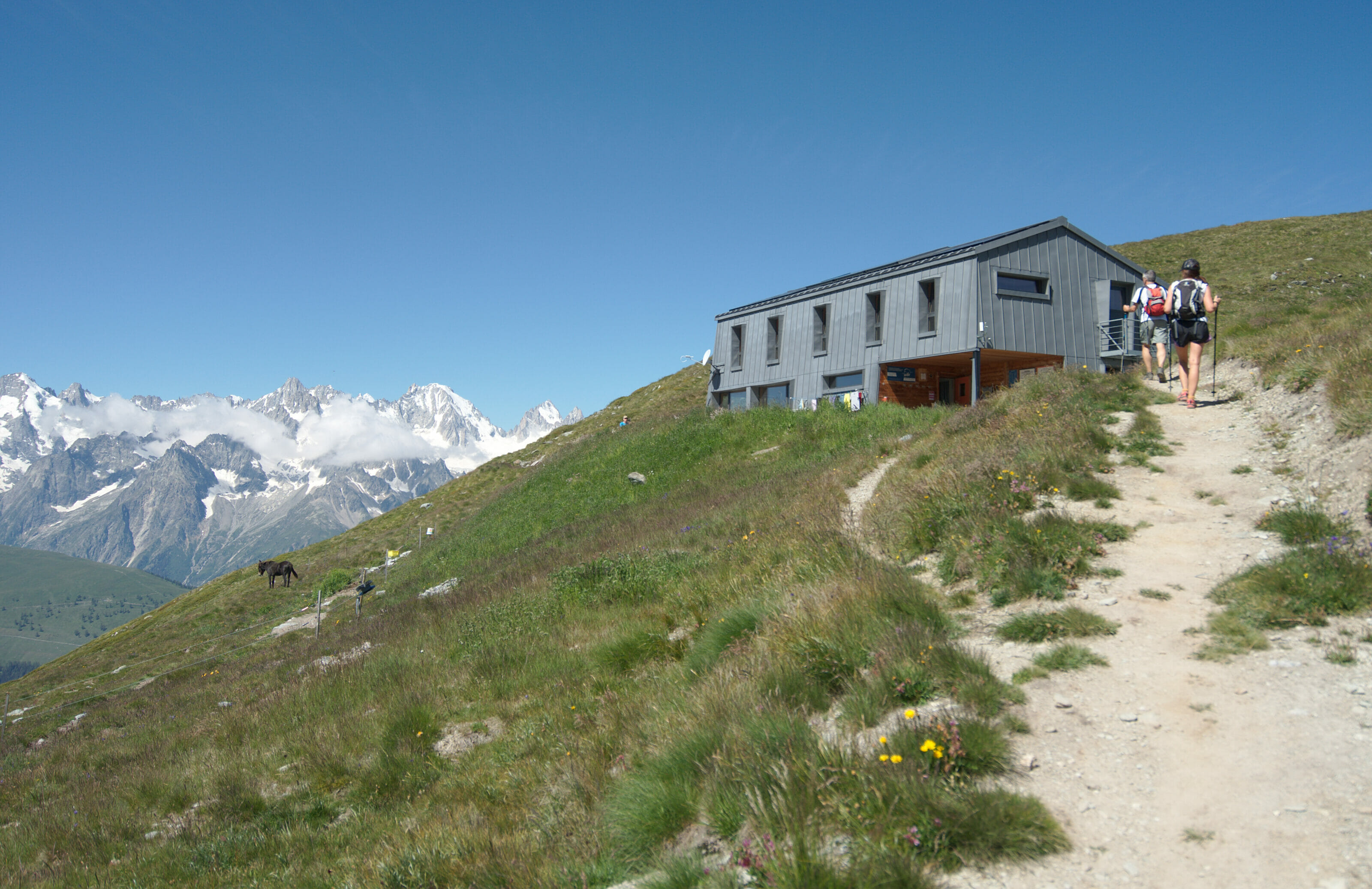 cabane de mille