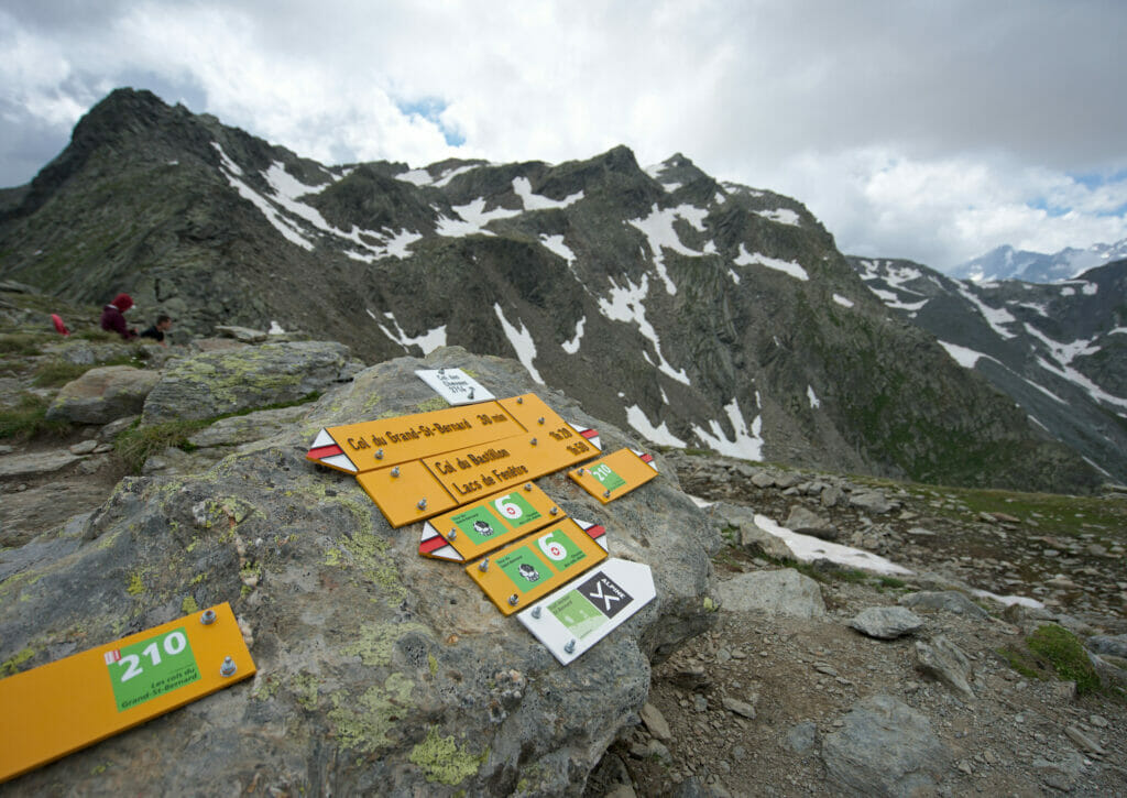 le col des chevaux