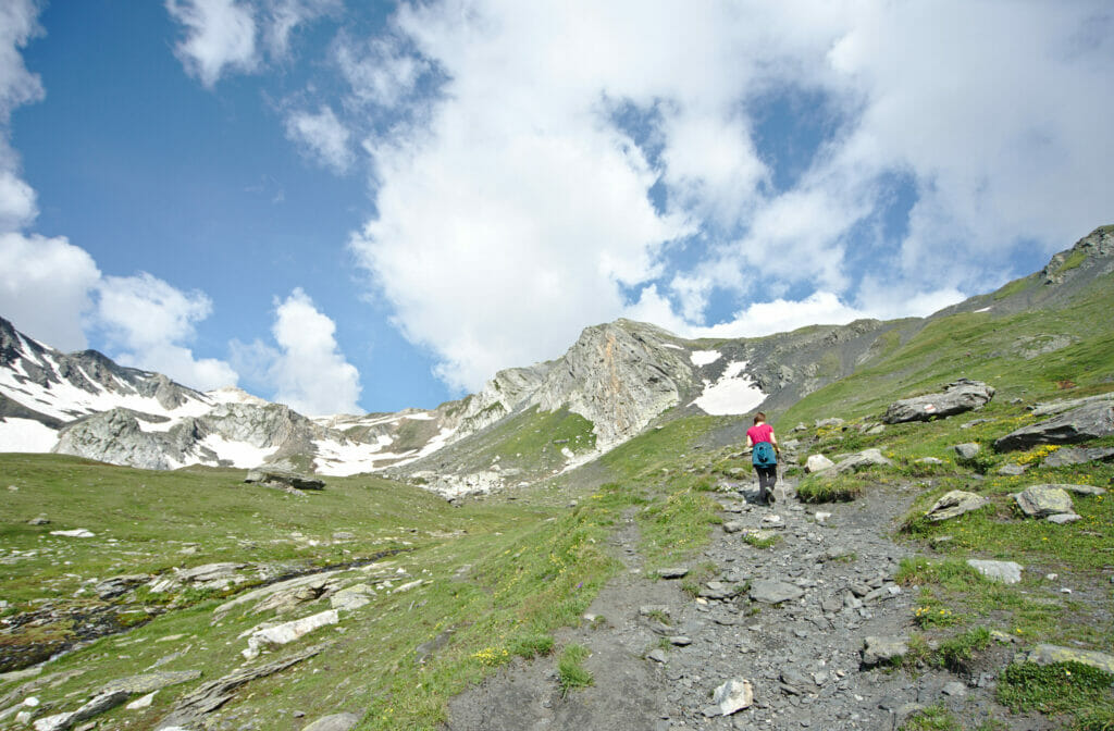 montée fenêtre de ferret