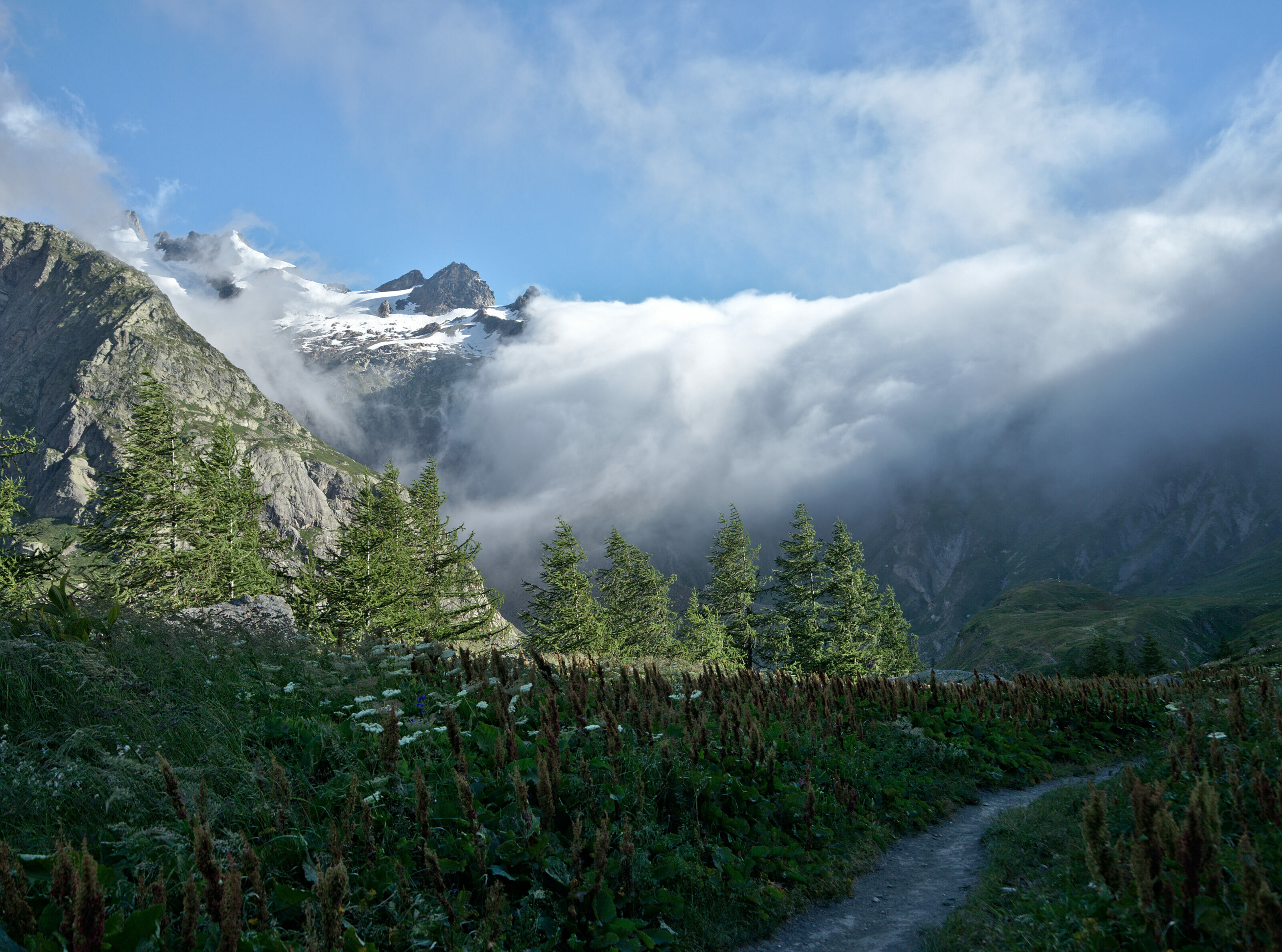 clouds on top of mountain