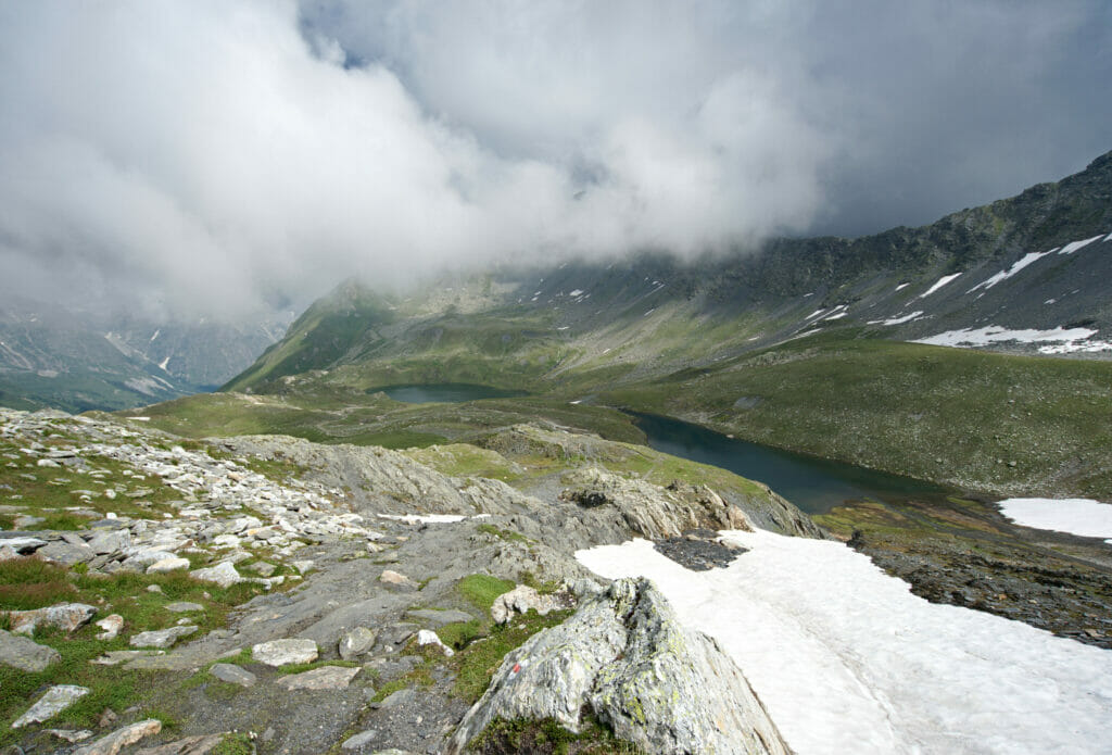 col fenêtre de ferret