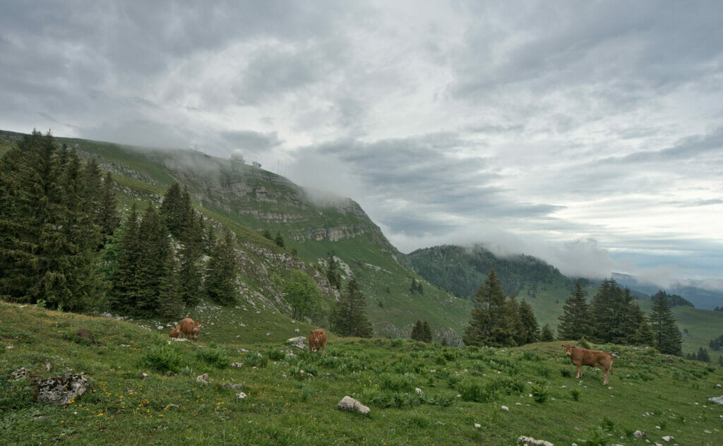 descente de la dôle