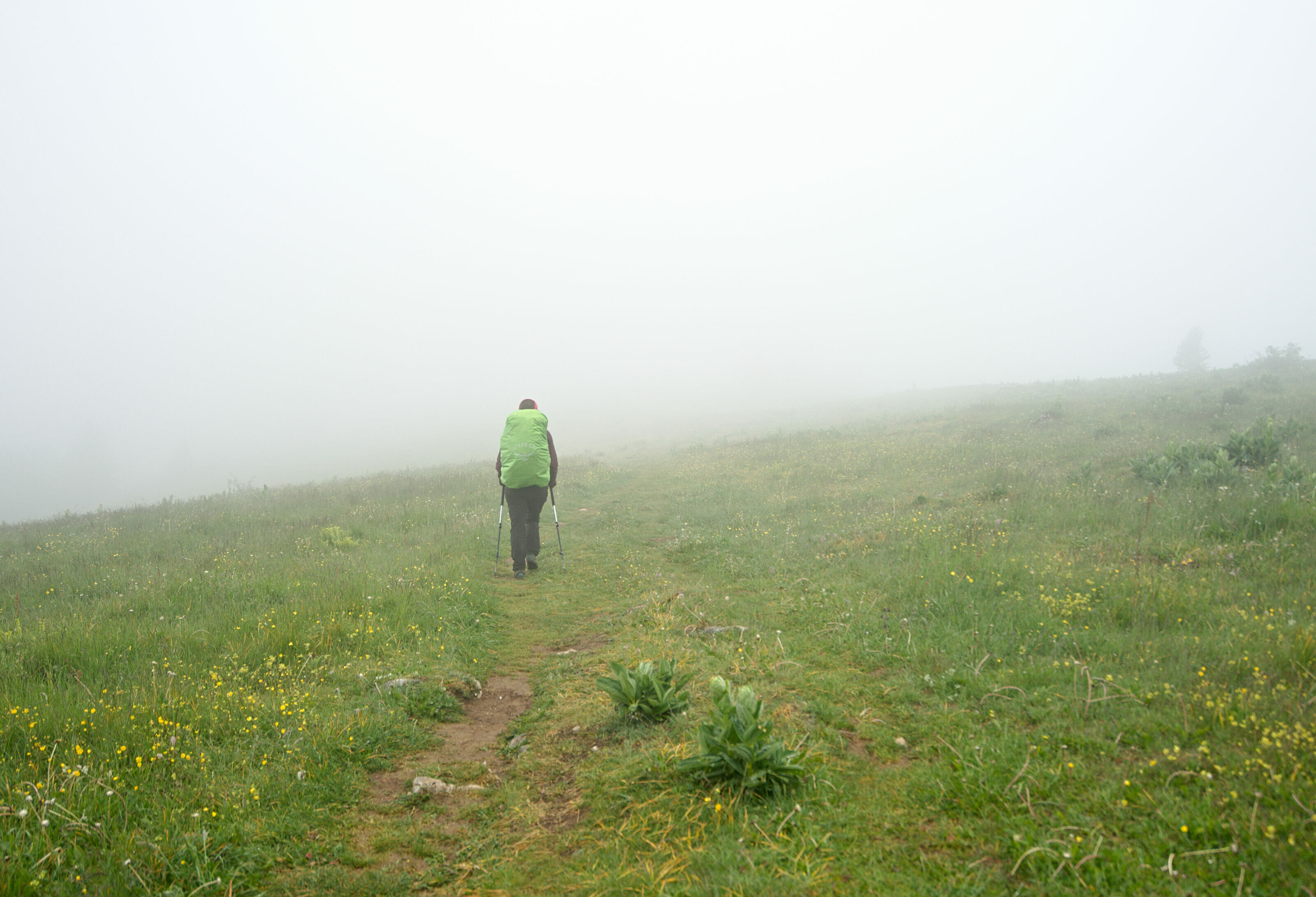 jura tete de Ran