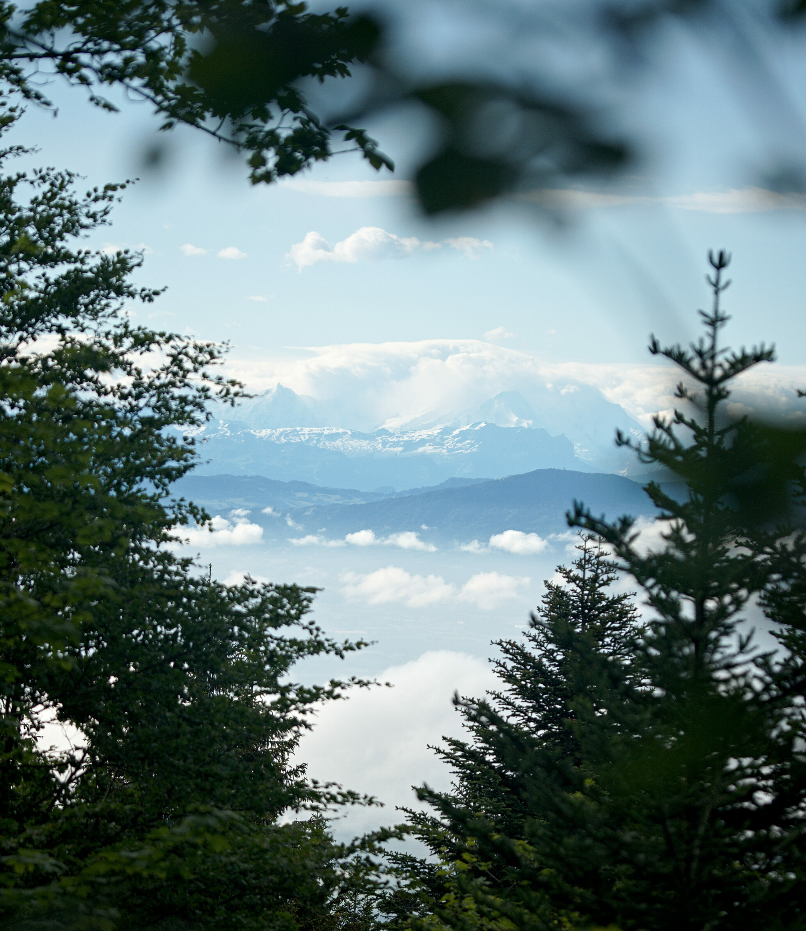 View on Mont Blanc