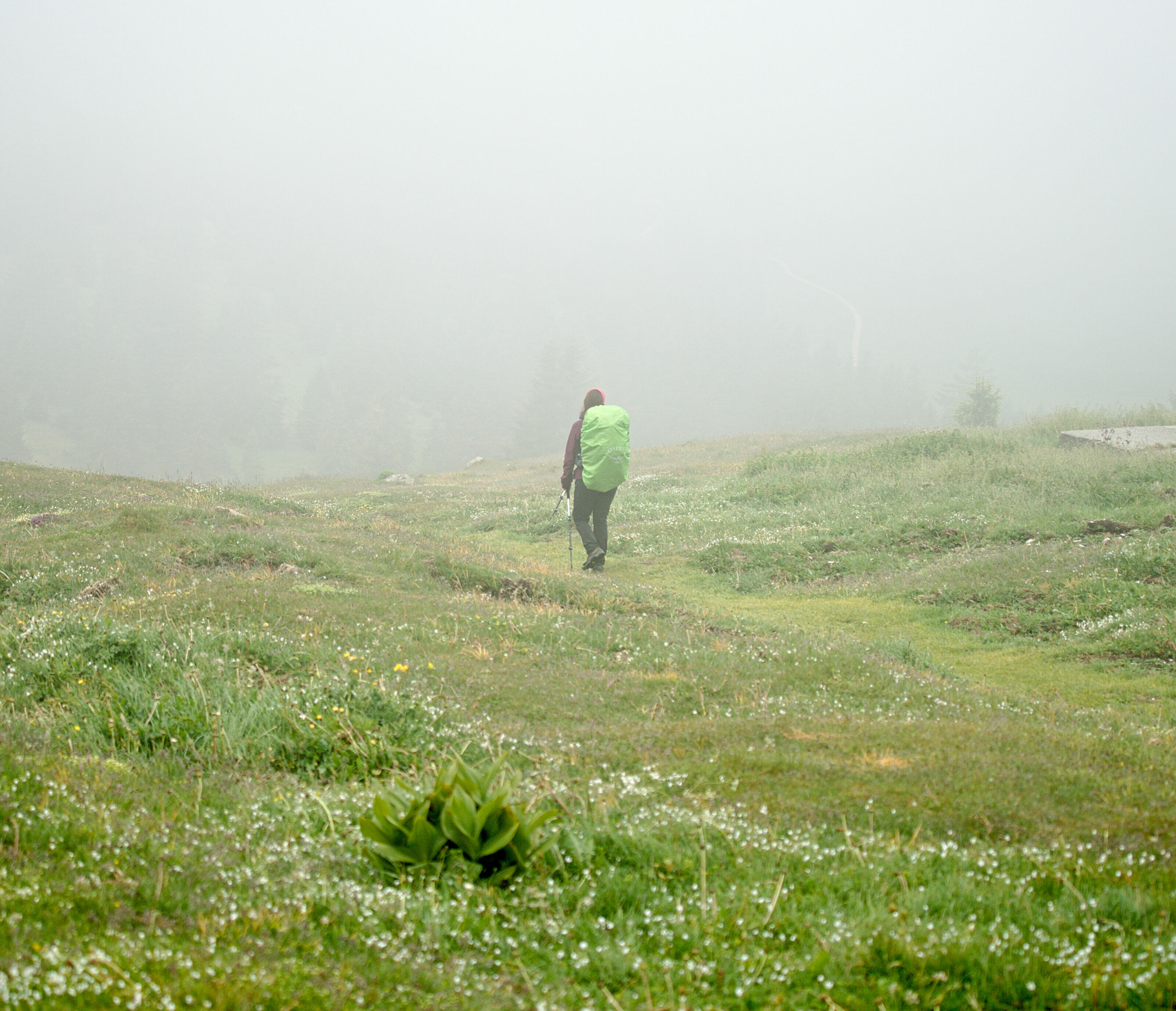 Randonnée au col du Marchairuz et à la Dôle photos & itinéraire