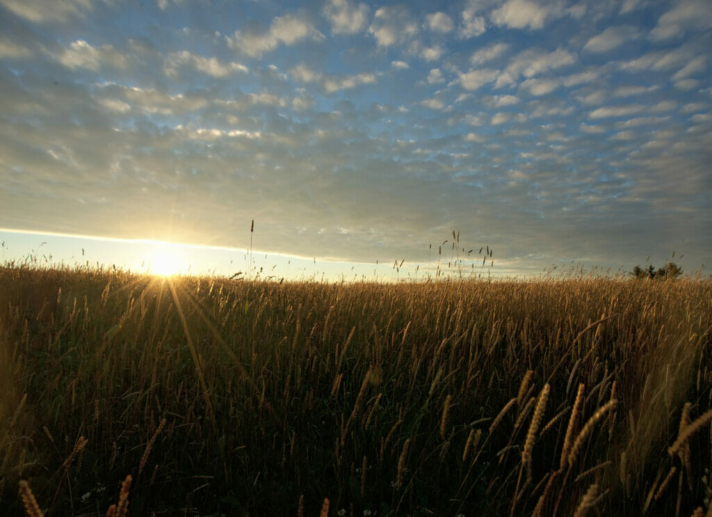 le soleil se couche au creux du van