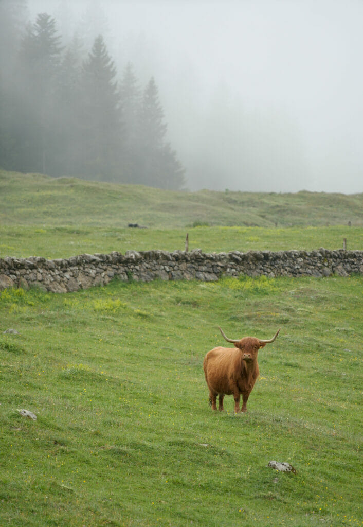 meteo jura