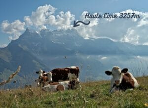 haute cime à 3257m de haut