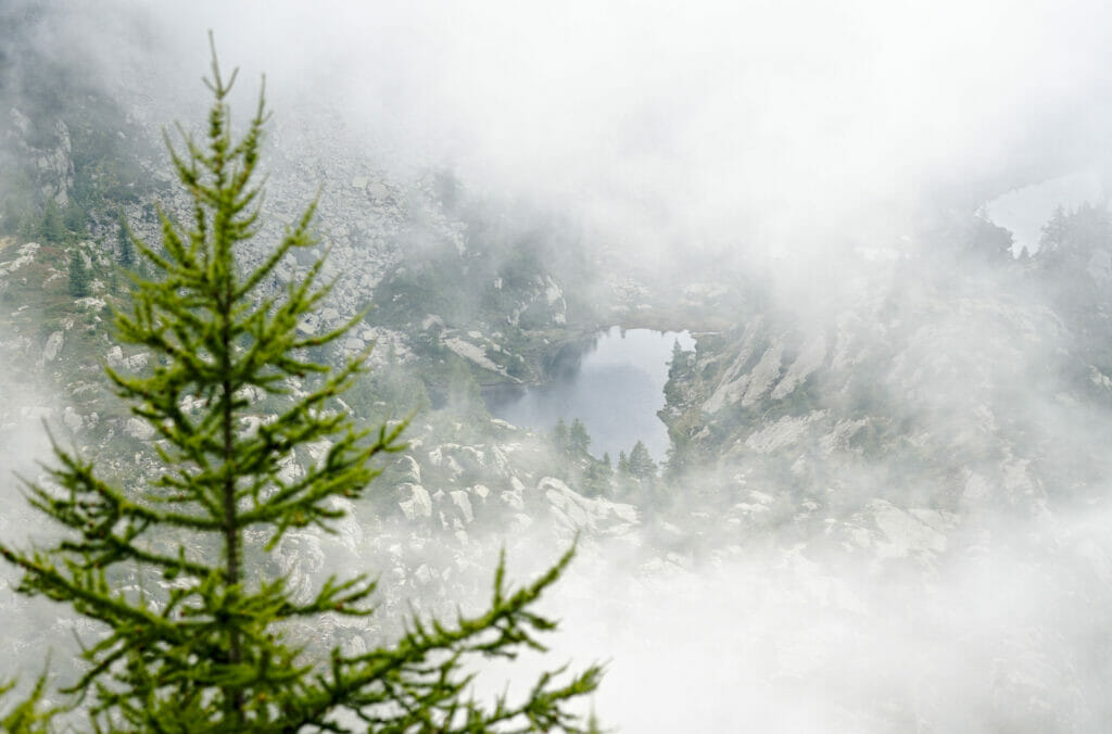 brume et lac