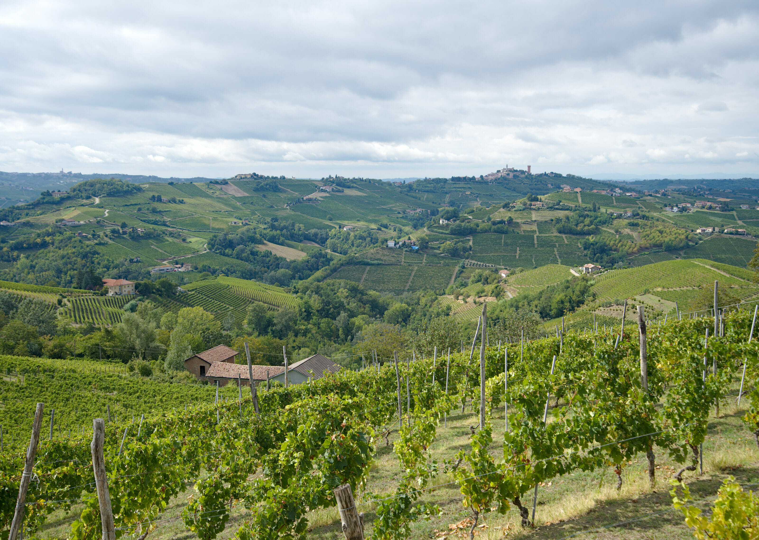 collines du Piémont