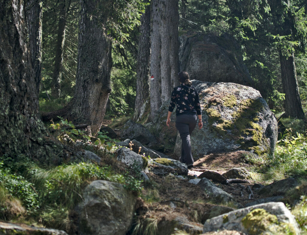 forêt en italie