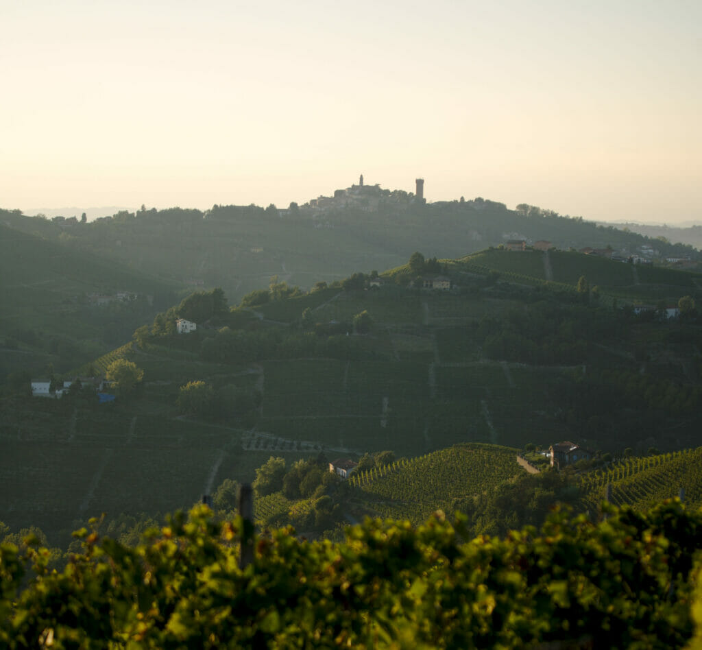 région du moscato