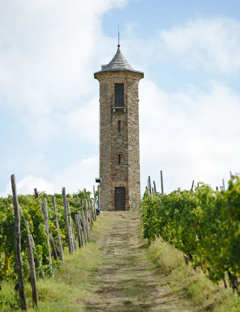 torre dei contini