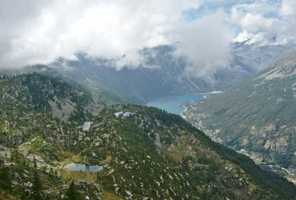 bellagarda