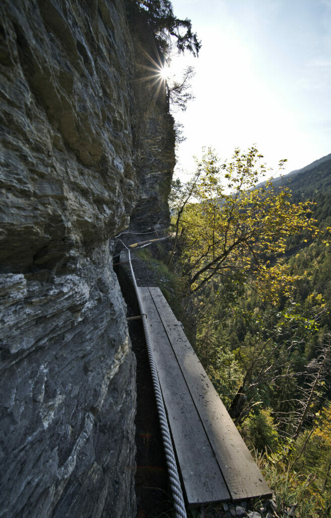 bisse vertigineux