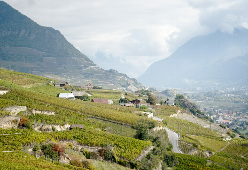 vineyards in Valais