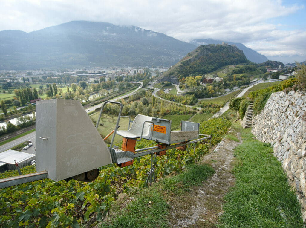 trains dans les vignes