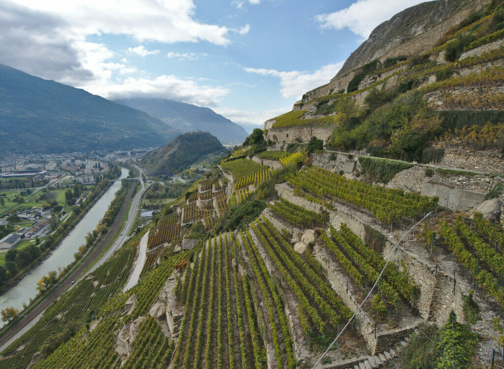 vignoble de clavau