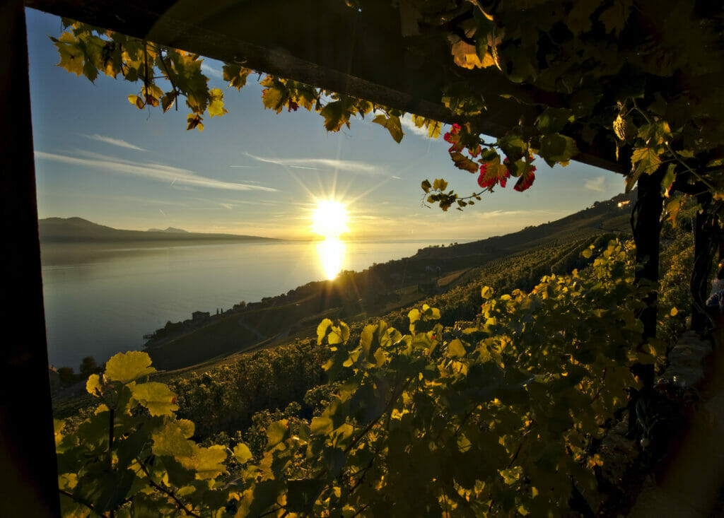 coucher-soleil-lavaux