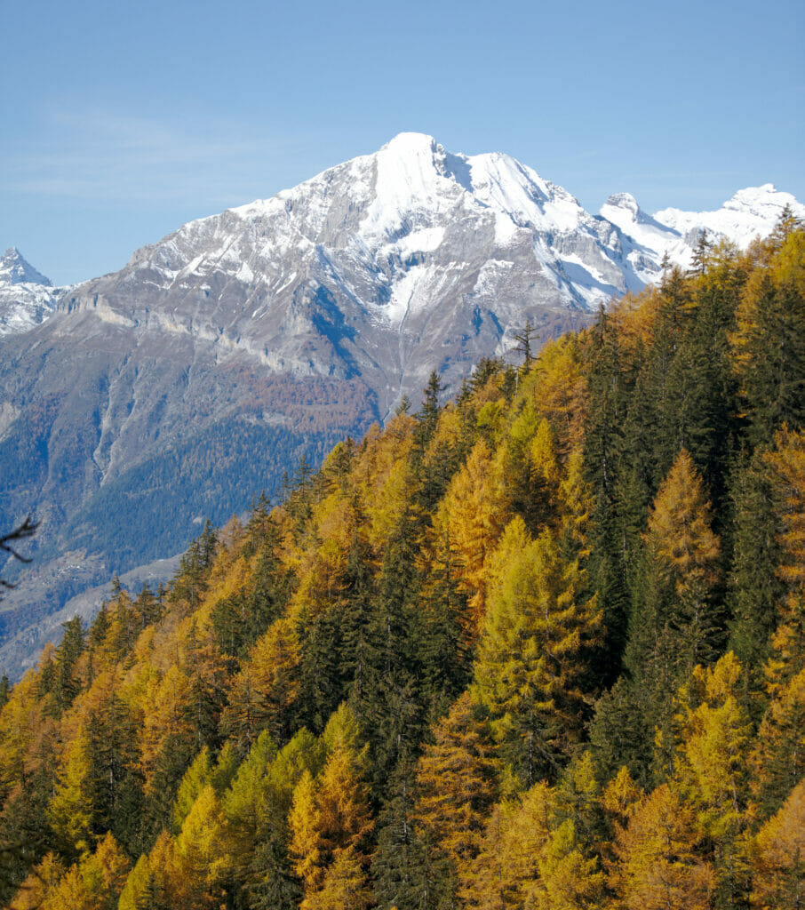 l'automne en suisse