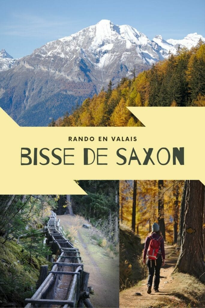 bisse de saxon