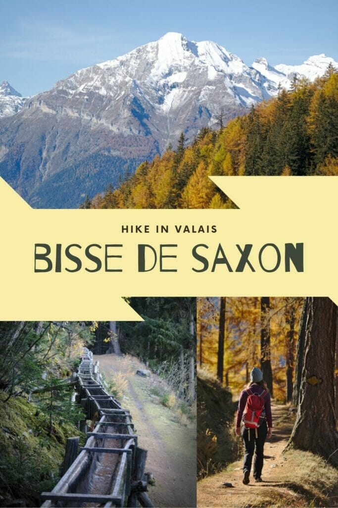 bisse de saxon