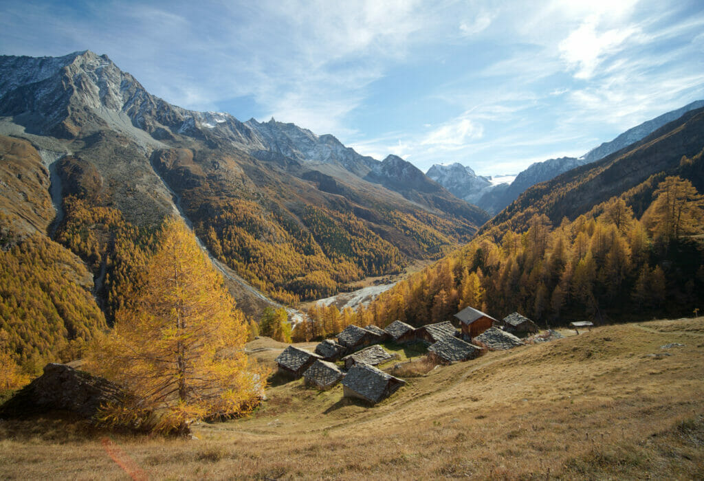 little village in a larch forest in Val d'Herens