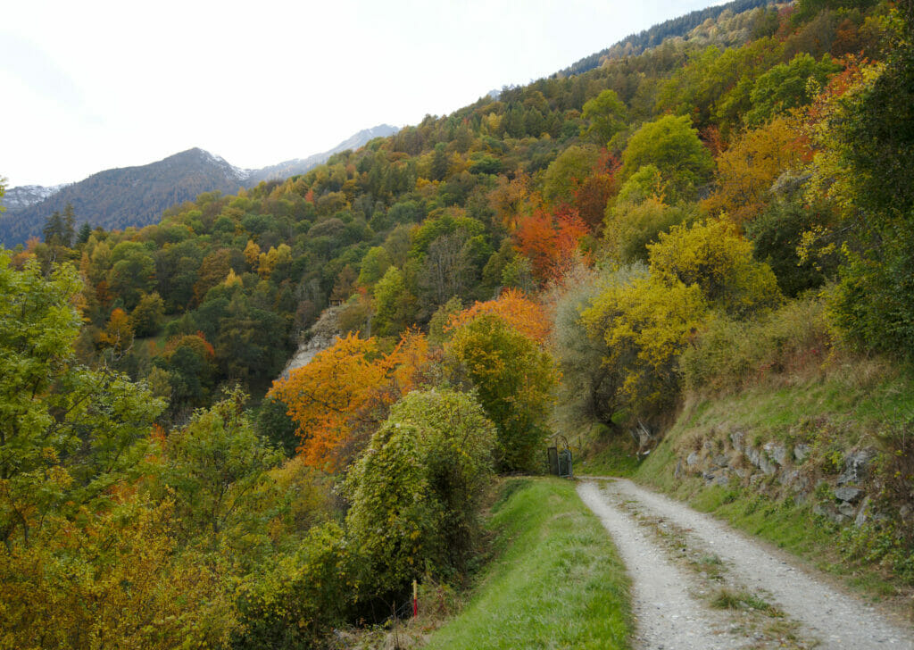 couleurs d'automne au val des dix