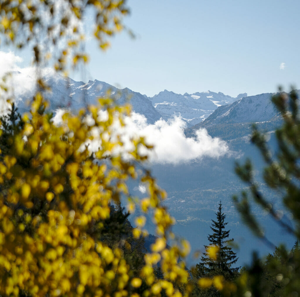 couleurs automne Derborence