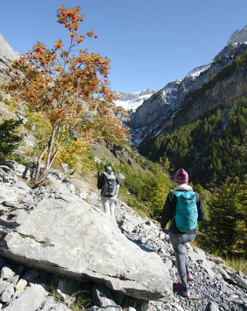 vallon de la Lizerne à Derborence