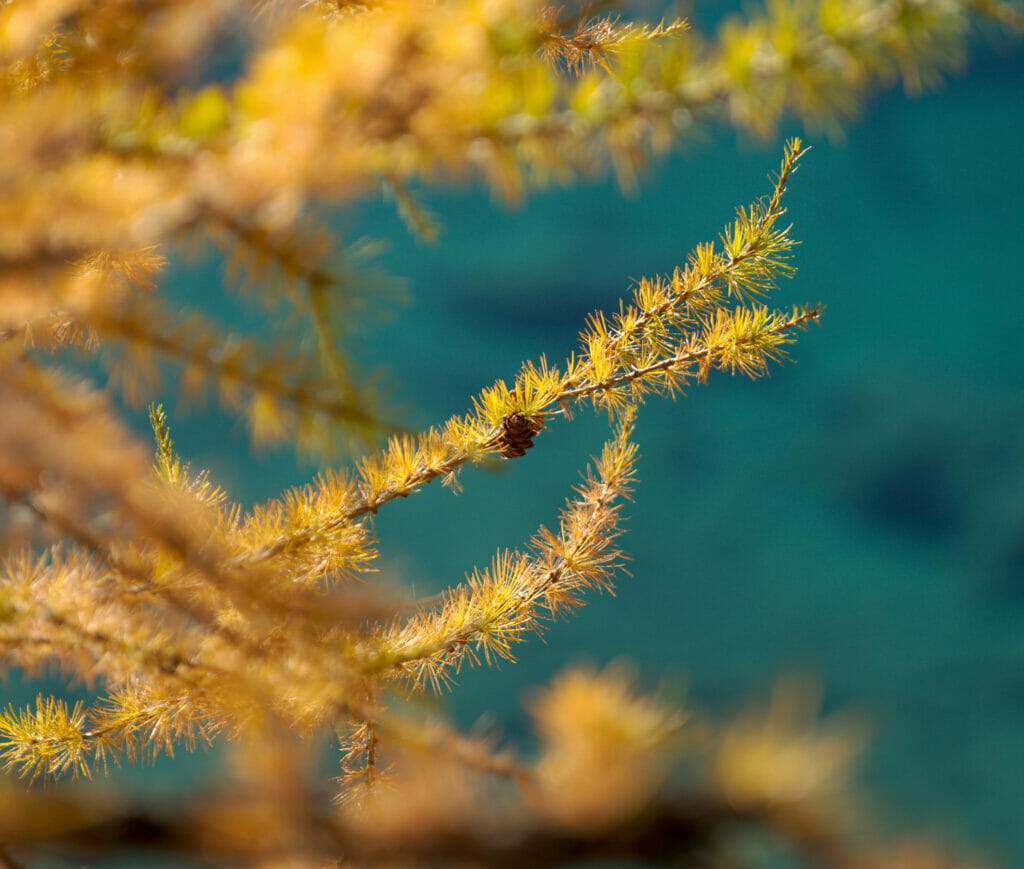 automne lac bleu