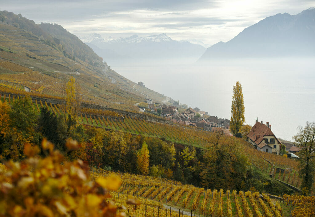 le lavaux suisse