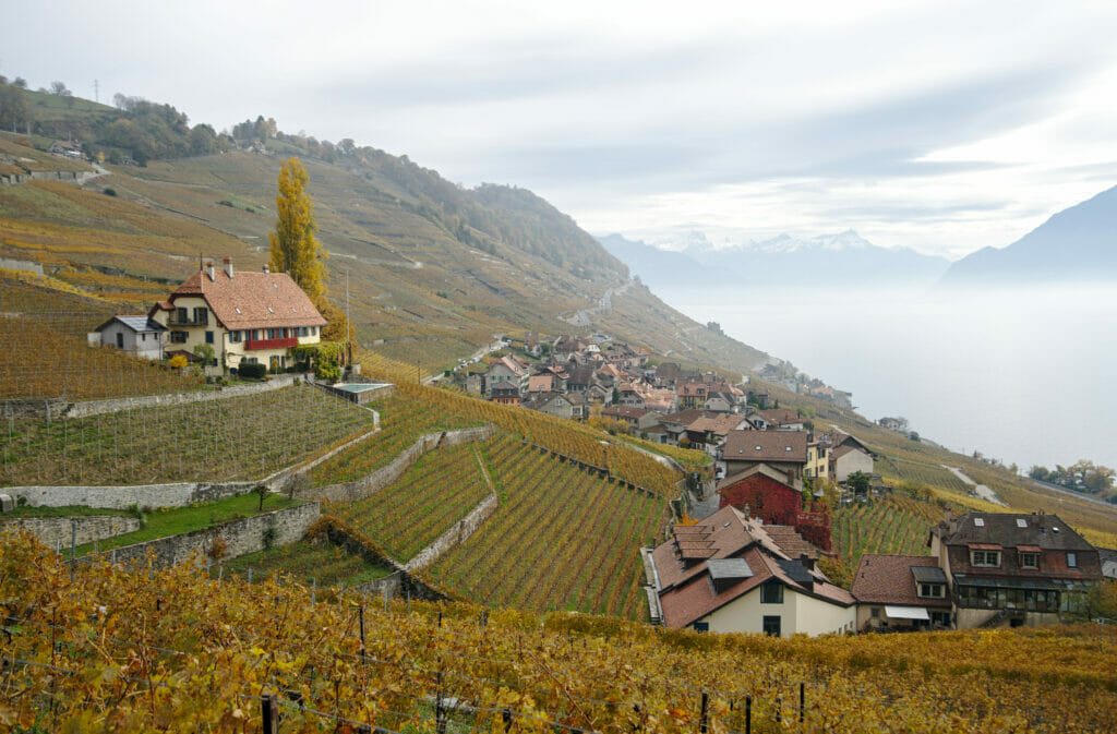 lavaux unesco