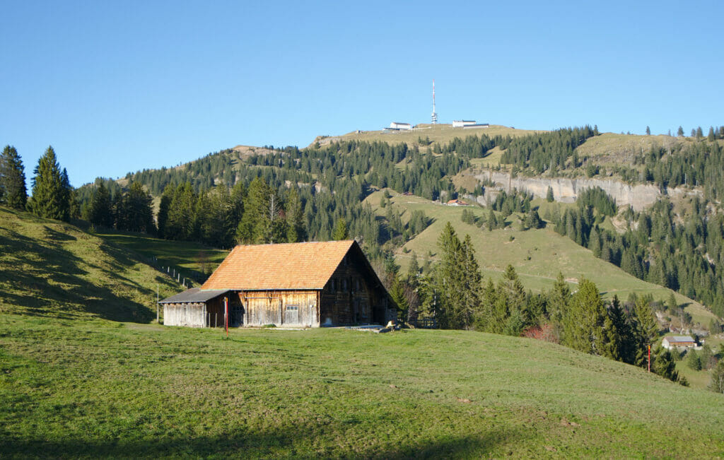 alpage rigi