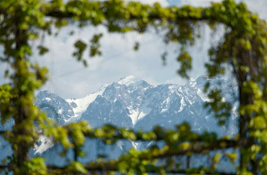 panorama alpes depuis lavaux