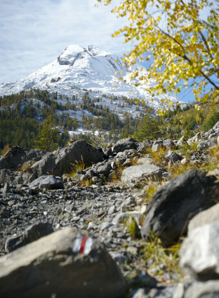 sentier de l'éboulement de Derborence