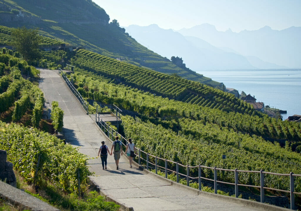 balade dans le Lavaux