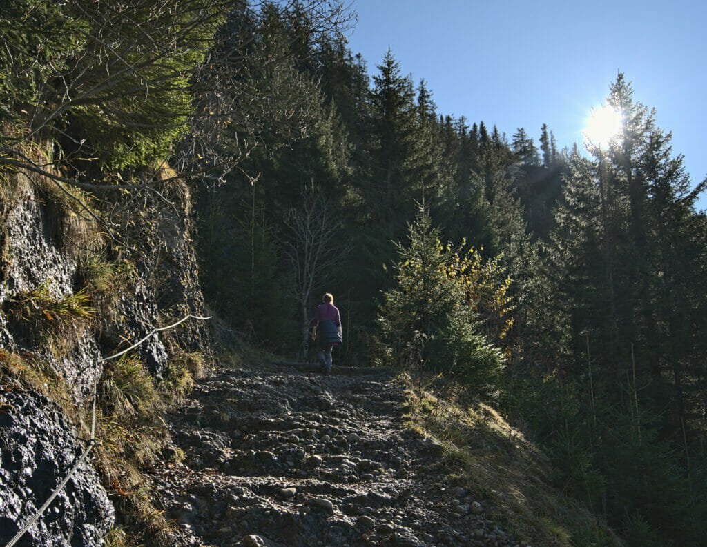 sentier pour le rigi