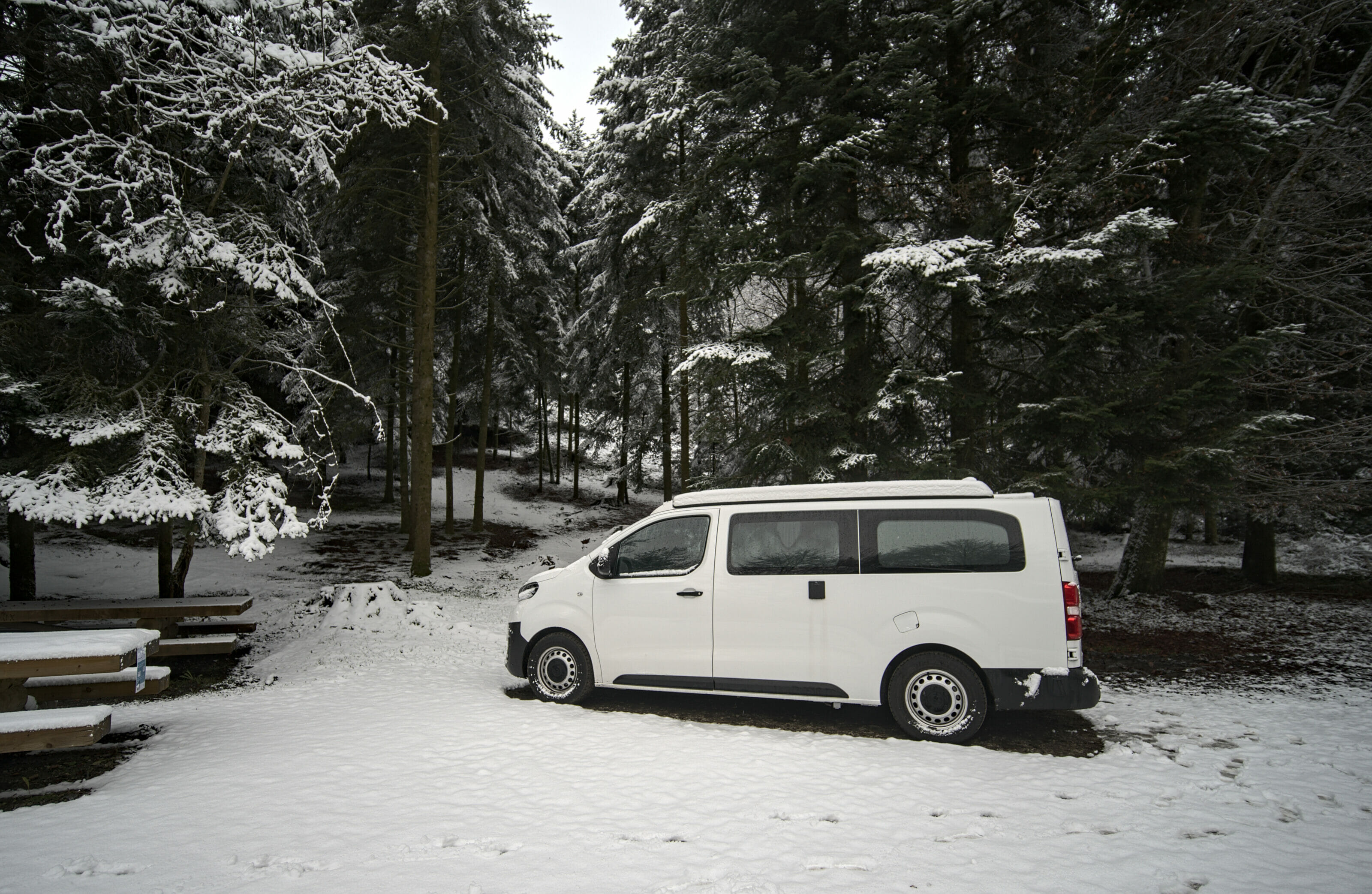 van dans la neige