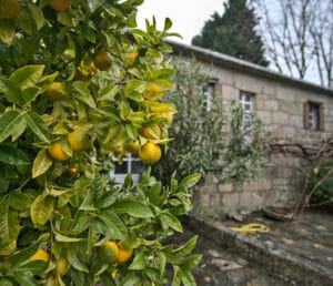 le jardin d'Anceu