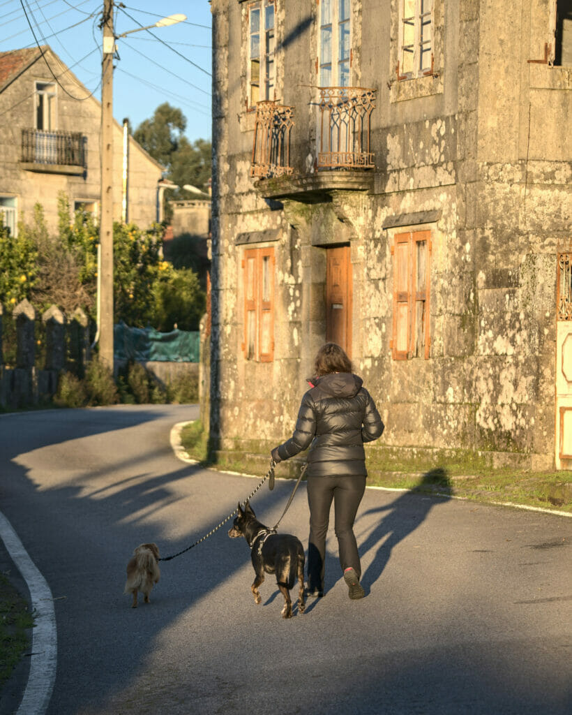 promenade des chiens à Anceu