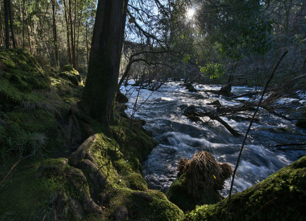 la nature en Galice