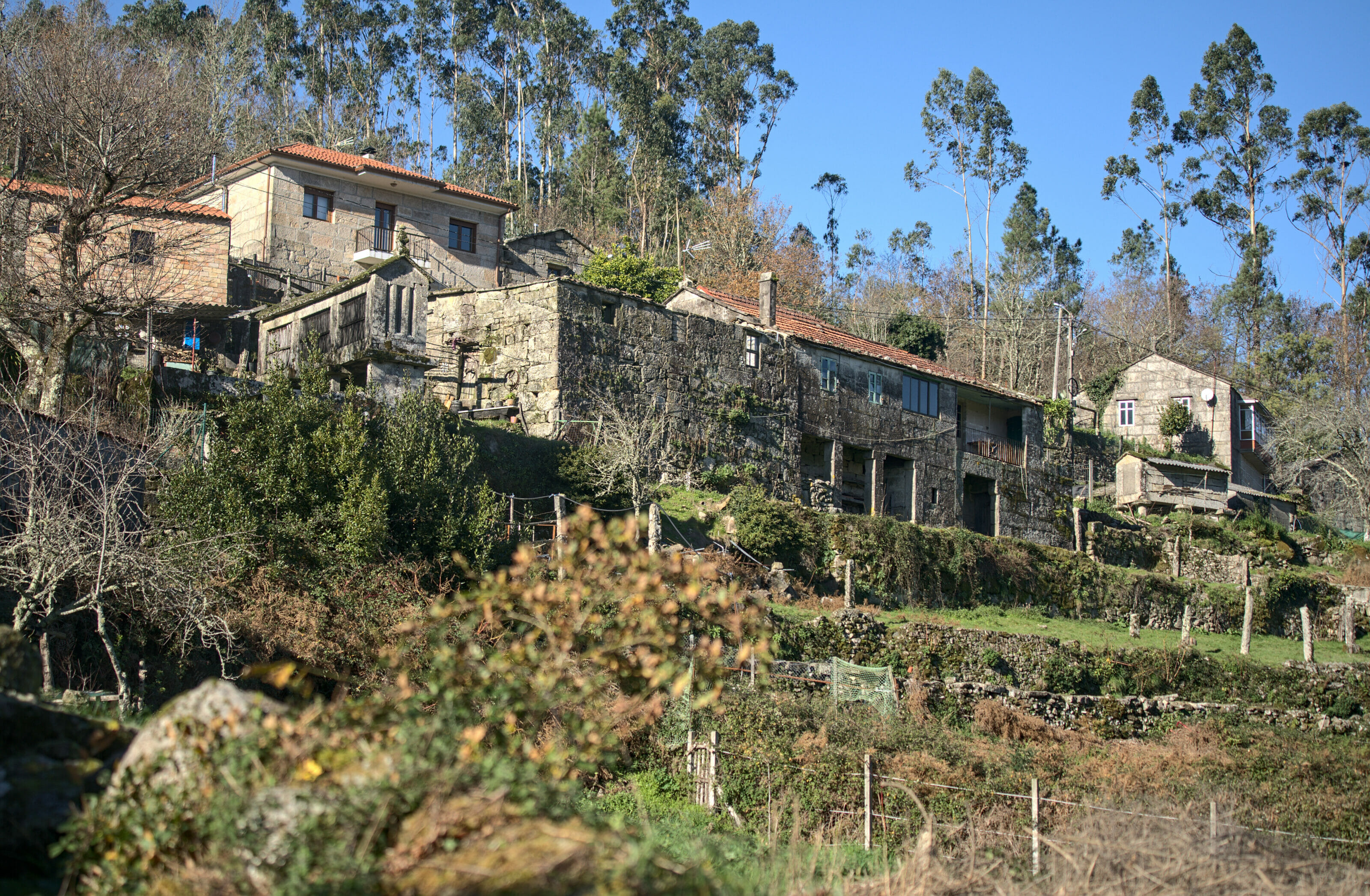 Anceu coliving a coliving in the north of Spain in Galicia