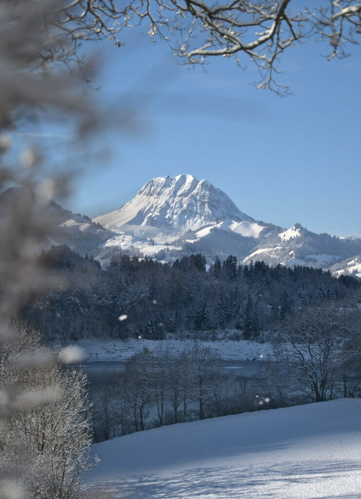 le moleson, fribourg