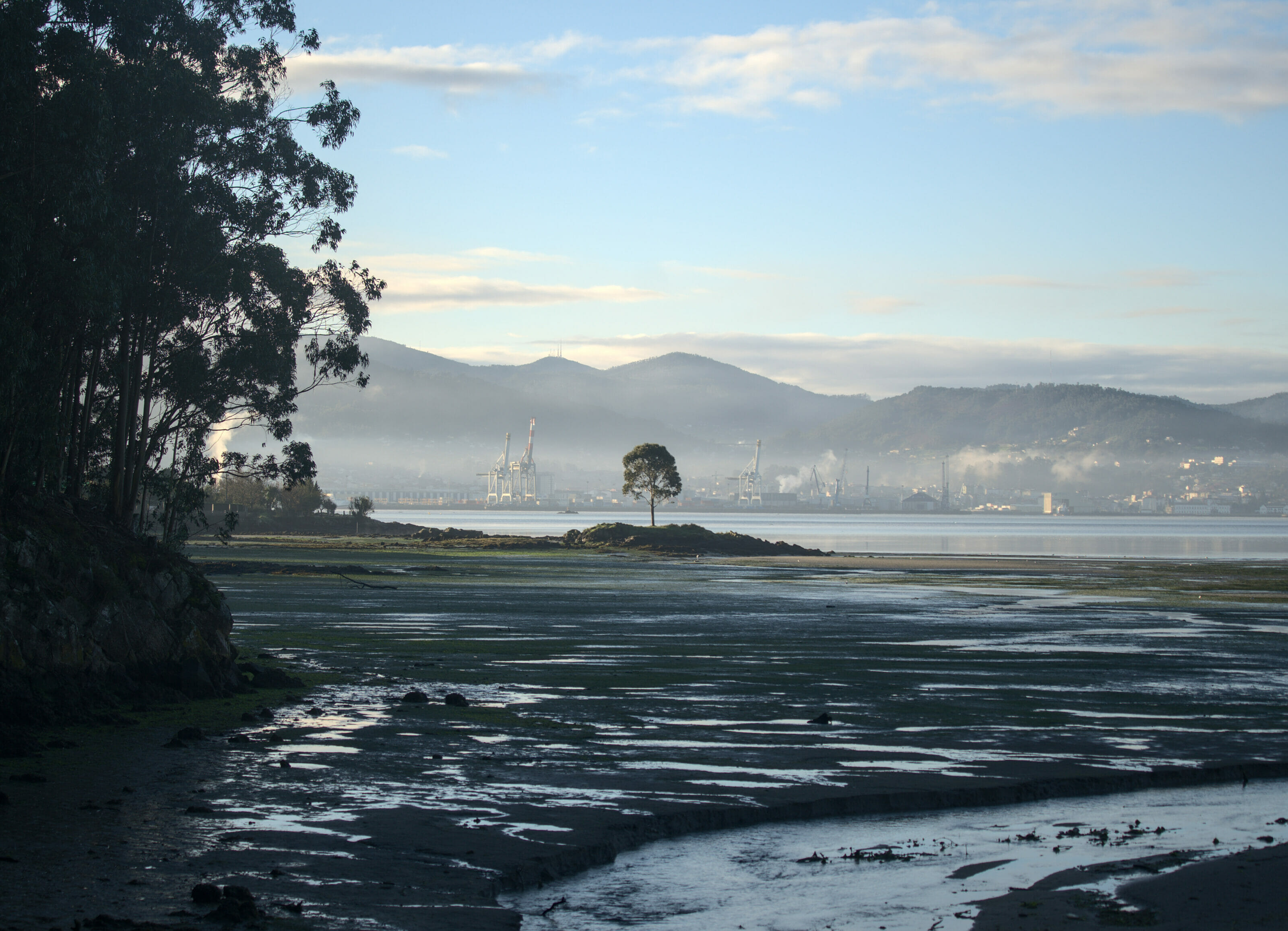 estuary of Pontevedra