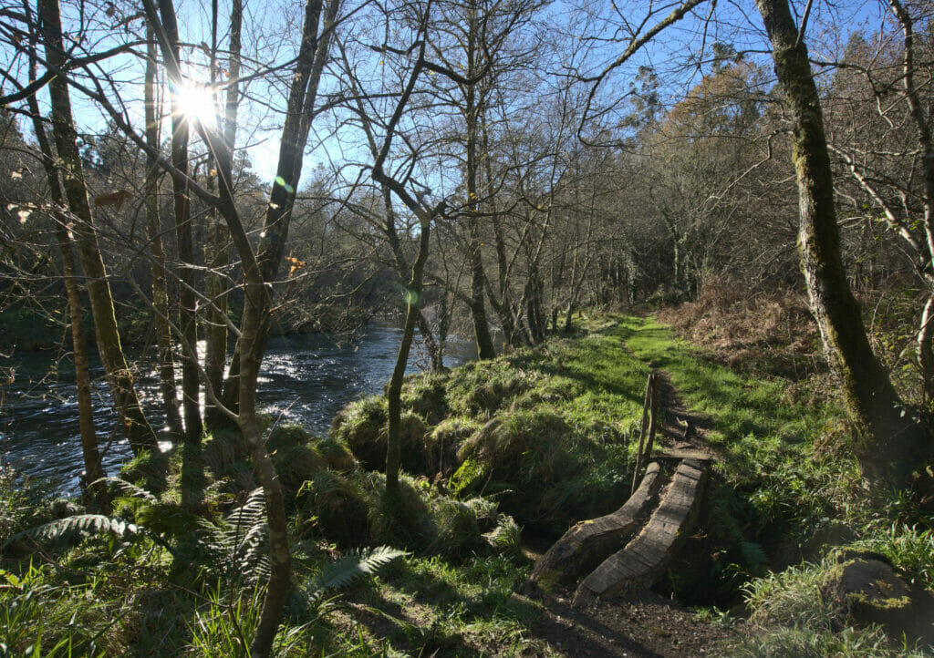 le rio verdugo en Galice