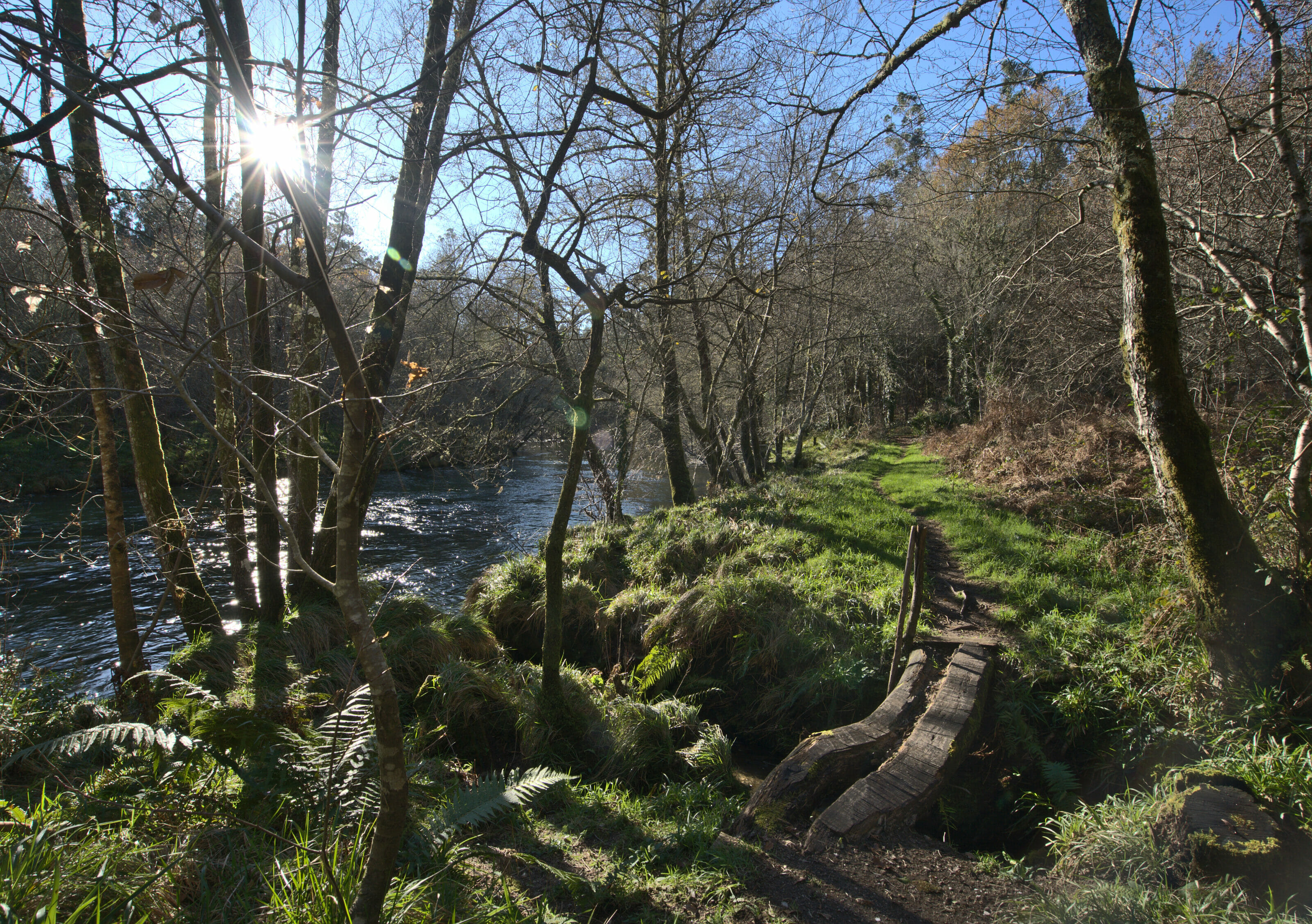 the rio verdugo in Galicia